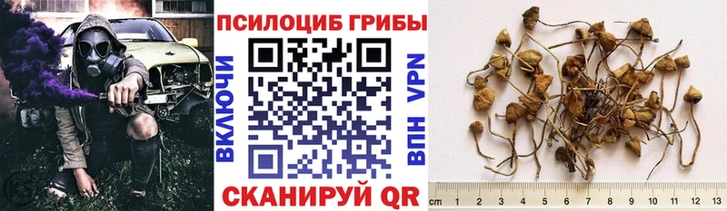 Галлюциногенные грибы Cubensis  наркота  Таганрог 